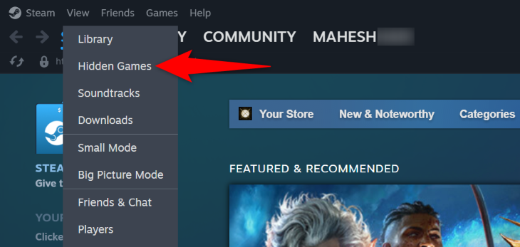 Как увидеть скрытые игры в Steam: пошаговое руководство